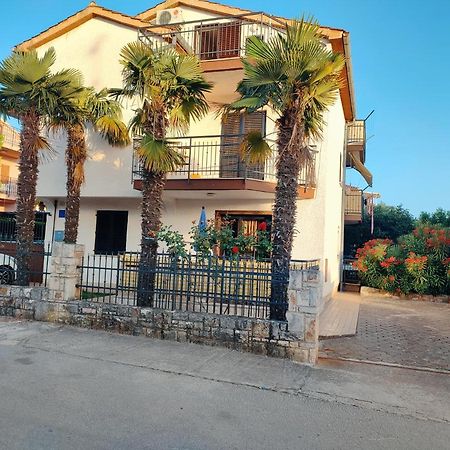 Apartments Novigrad Novigrad  Екстер'єр фото