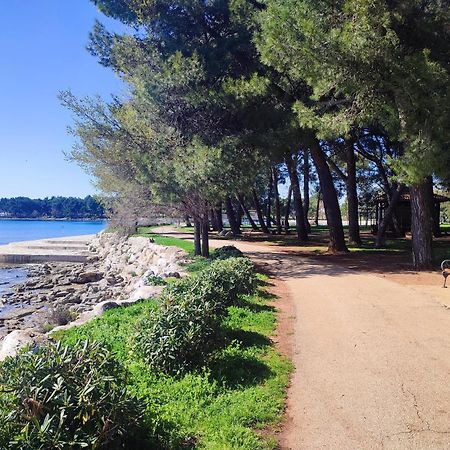 Apartments Novigrad Novigrad  Екстер'єр фото