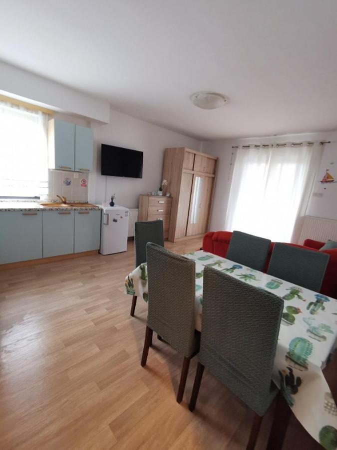 Apartments Novigrad Novigrad  Екстер'єр фото