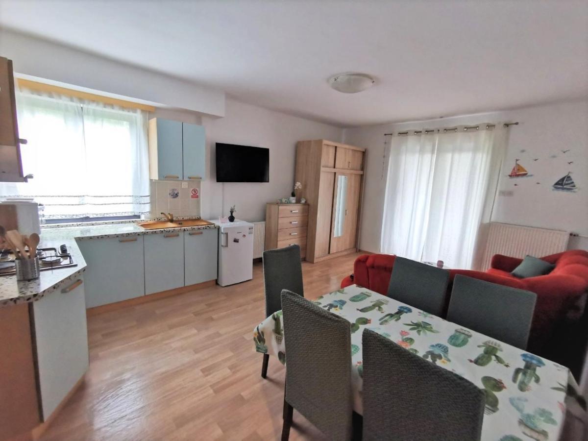 Apartments Novigrad Novigrad  Екстер'єр фото