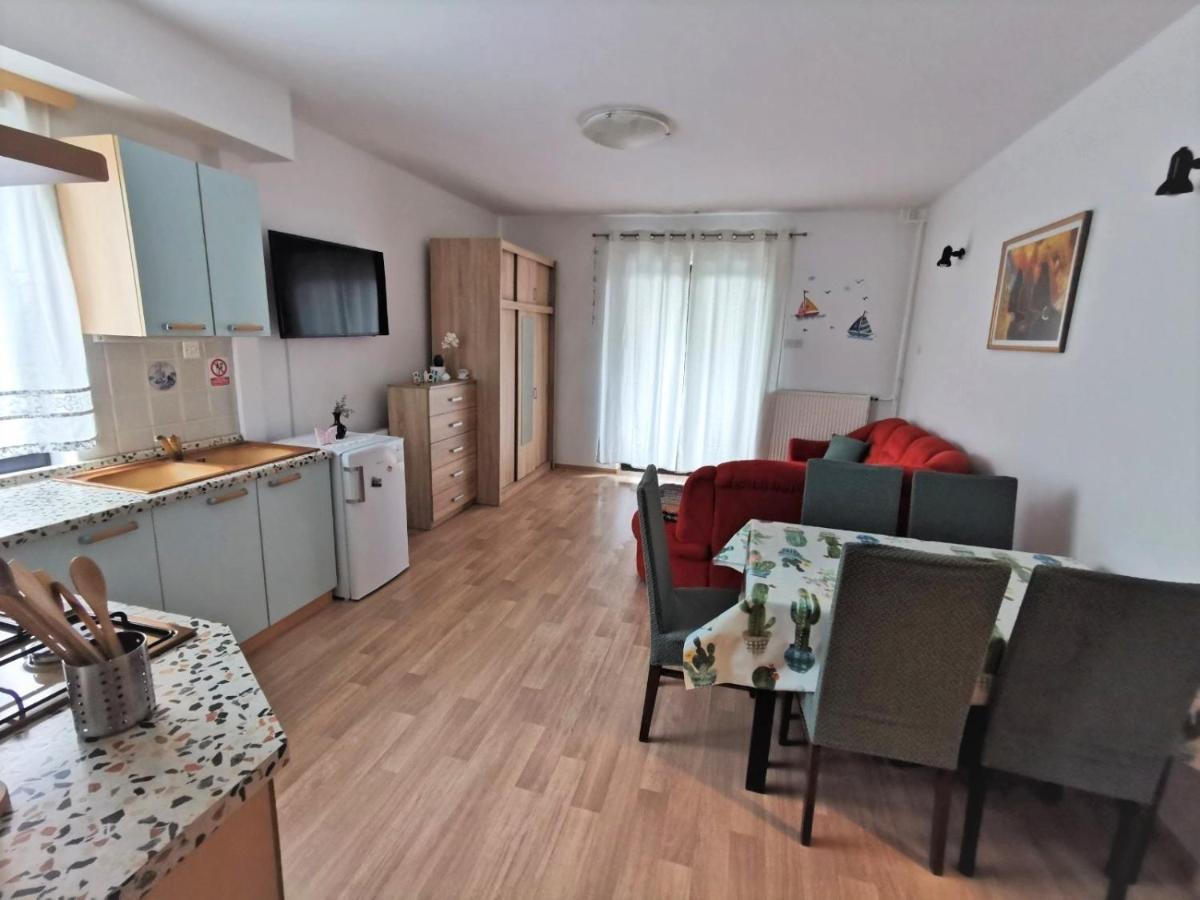 Apartments Novigrad Novigrad  Екстер'єр фото