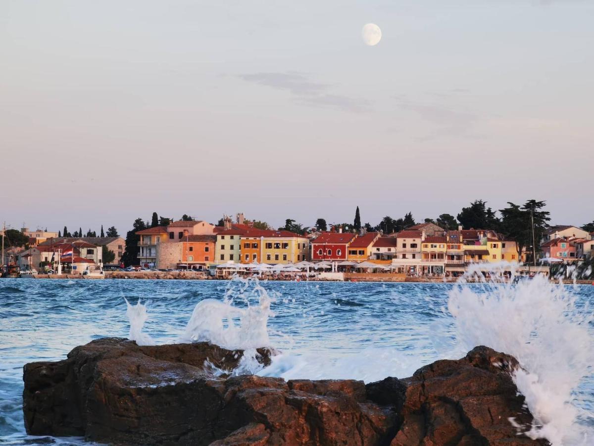 Apartments Novigrad Novigrad  Екстер'єр фото