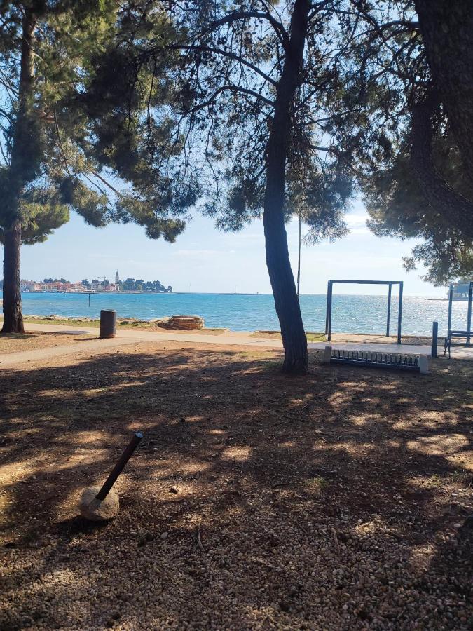 Apartments Novigrad Novigrad  Екстер'єр фото