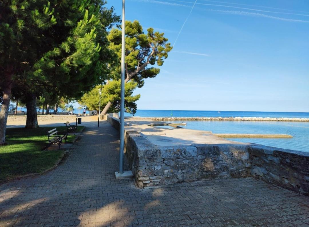 Apartments Novigrad Novigrad  Екстер'єр фото