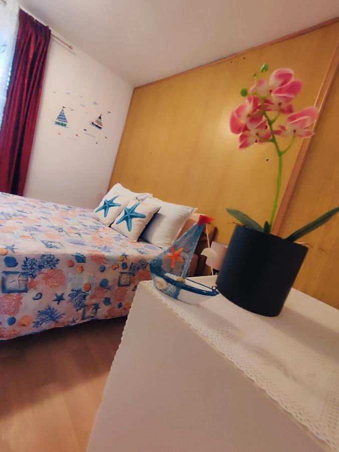 Apartments Novigrad Novigrad  Екстер'єр фото