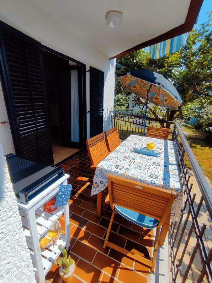 Apartments Novigrad Novigrad  Екстер'єр фото