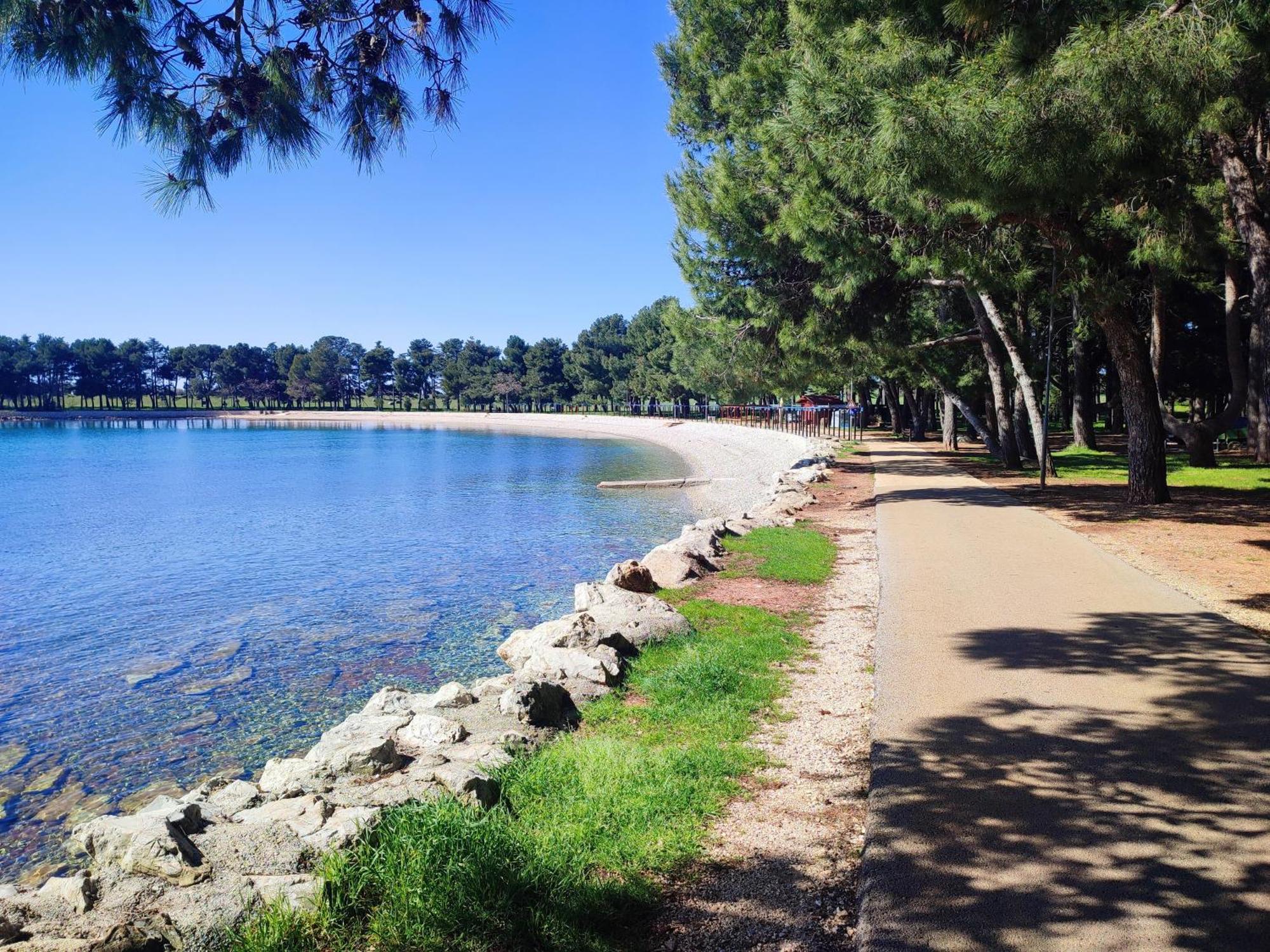 Apartments Novigrad Novigrad  Екстер'єр фото